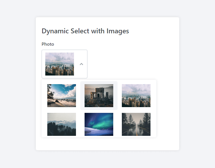 Dynamic Select Gallery Dropdown List HTML JS