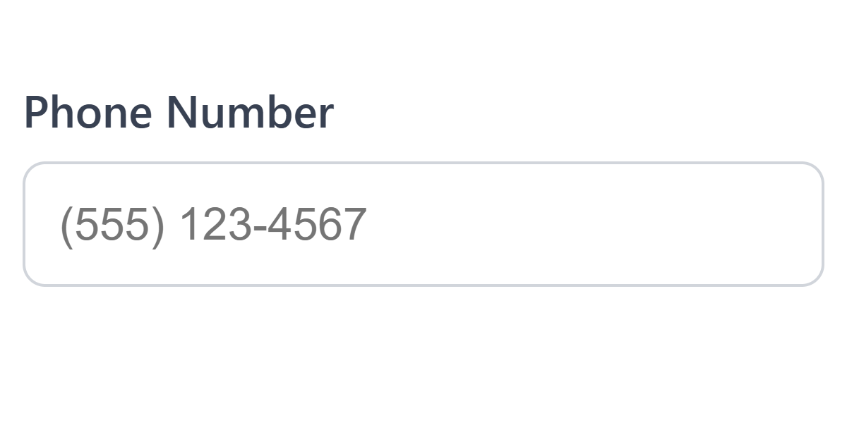 Phone Number Input Formatter JS