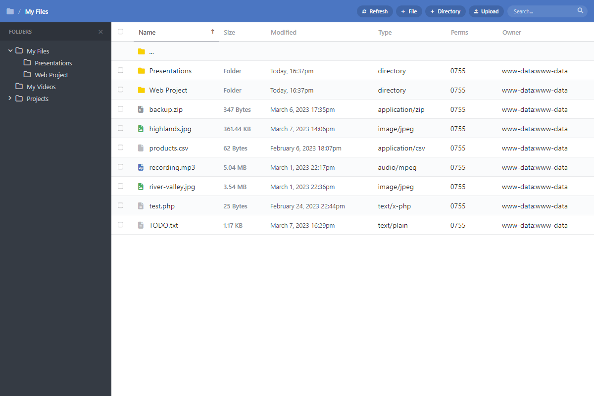 File Manager Interface