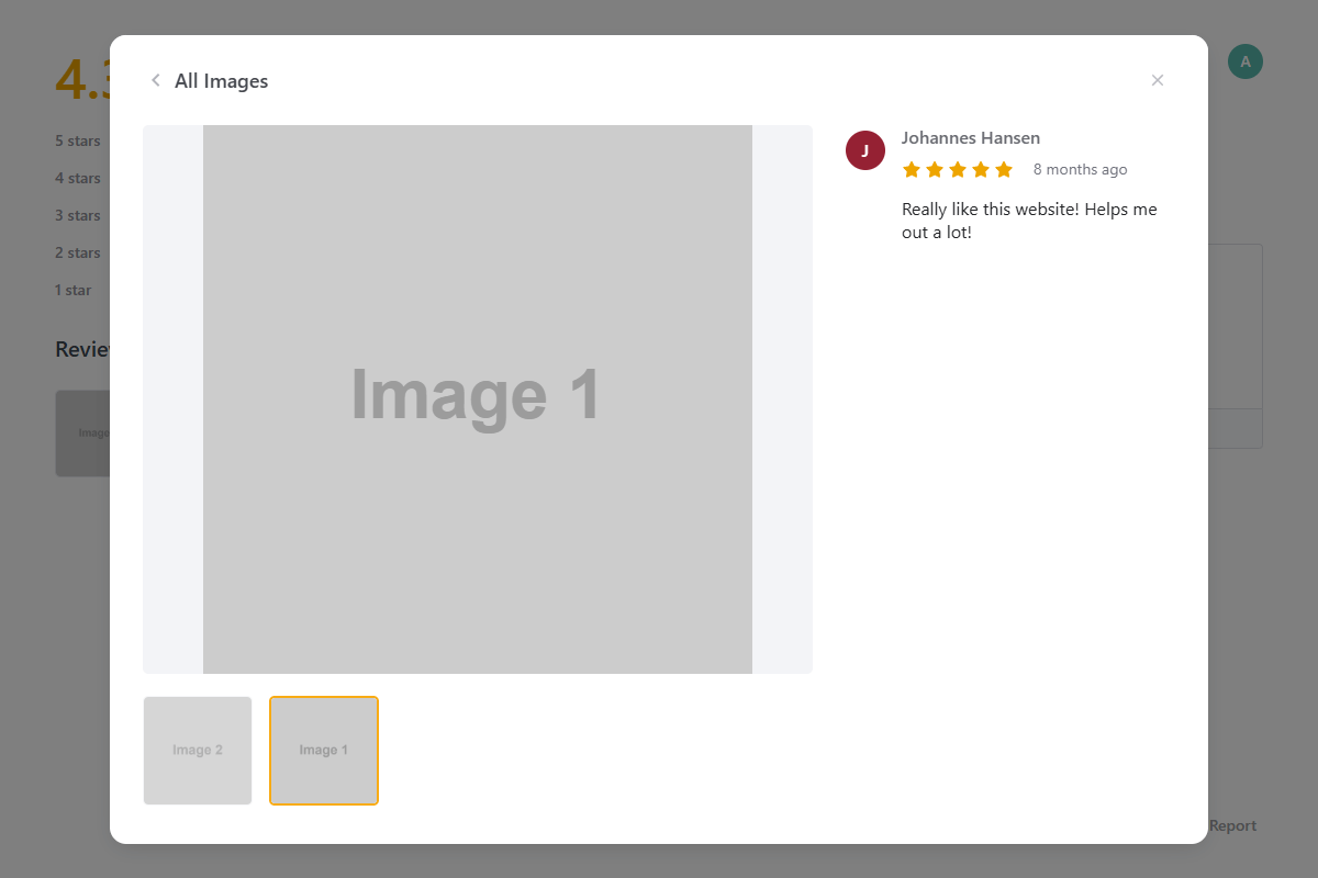 Reviews Media Popup Modal
